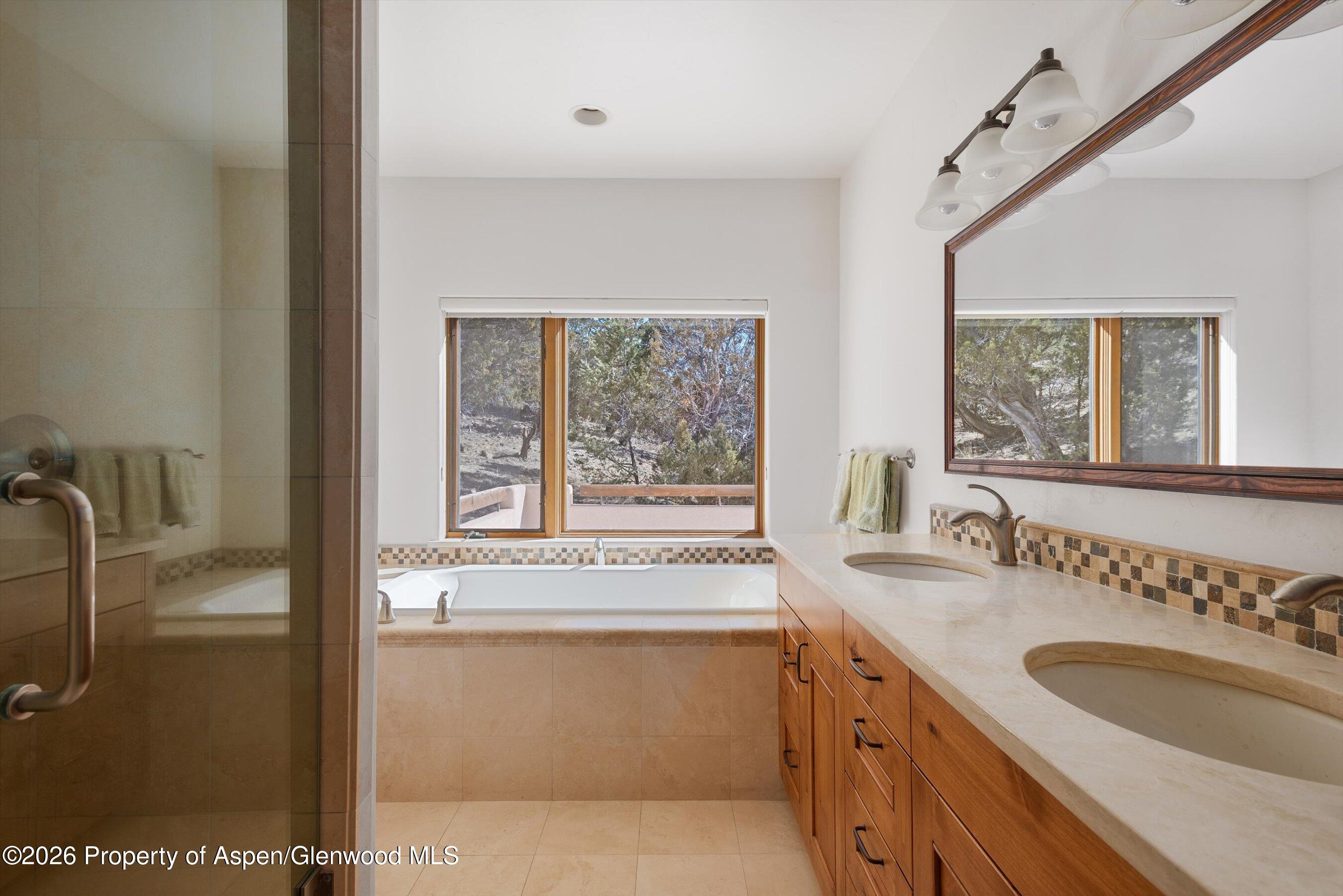 593 Wooden Deer Road Carbondale, CO 81623 - Photo 17 of 23 42-539WoodenDeer_2502260042