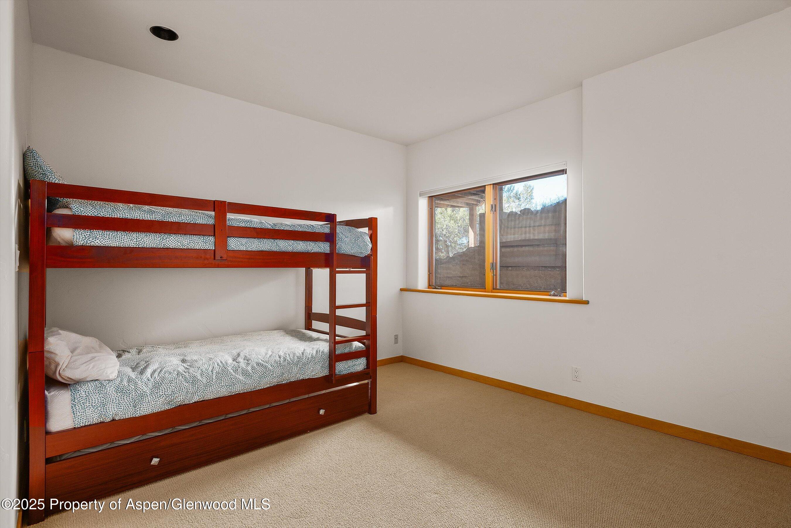 593 Wooden Deer Road Carbondale, CO 81623 - Photo 21 of 23 60-539WoodenDeer_2502260060