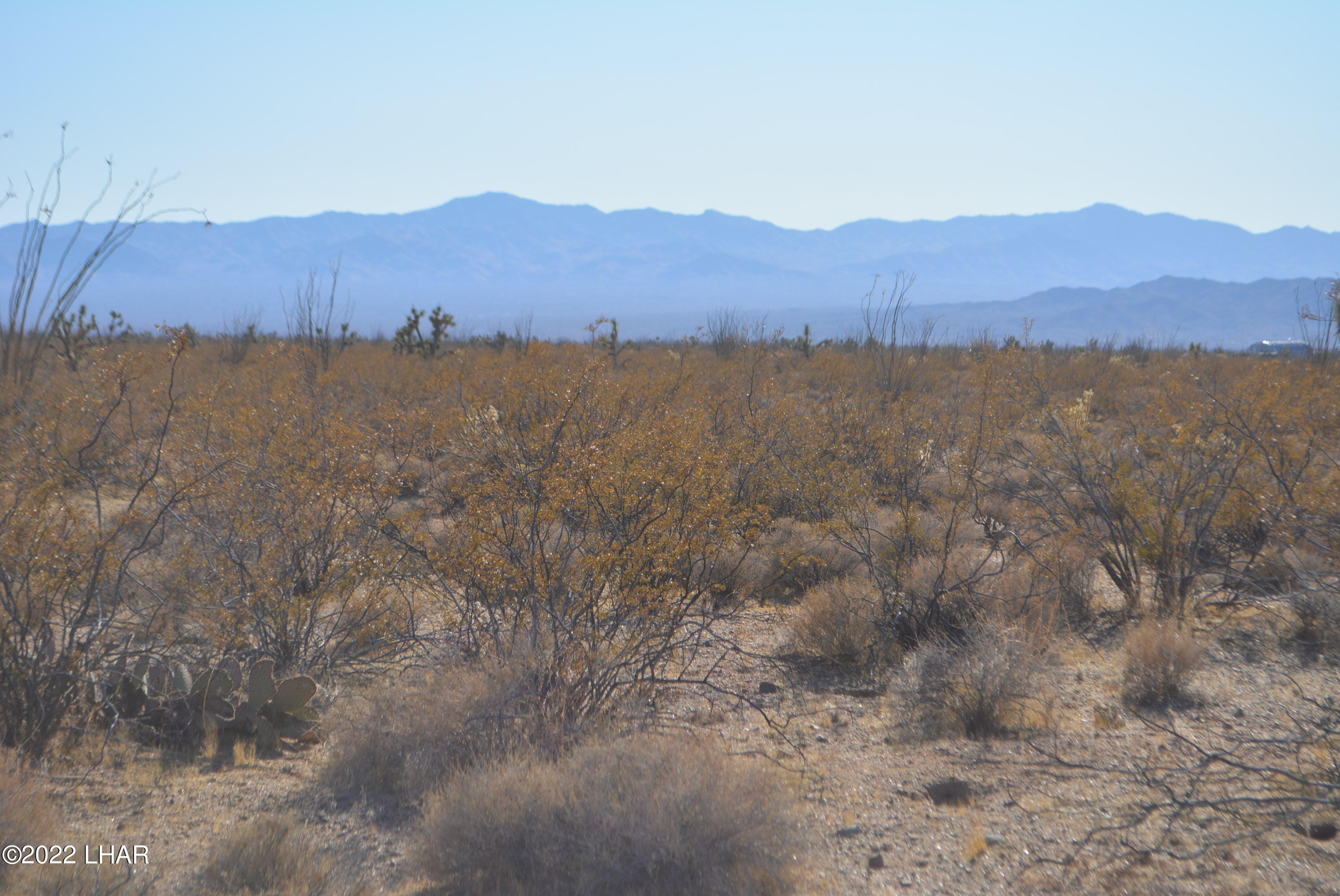 3176 West B W Bronco Road Yucca, AZ 86438 - Photo 11 of 18 DSC_0866