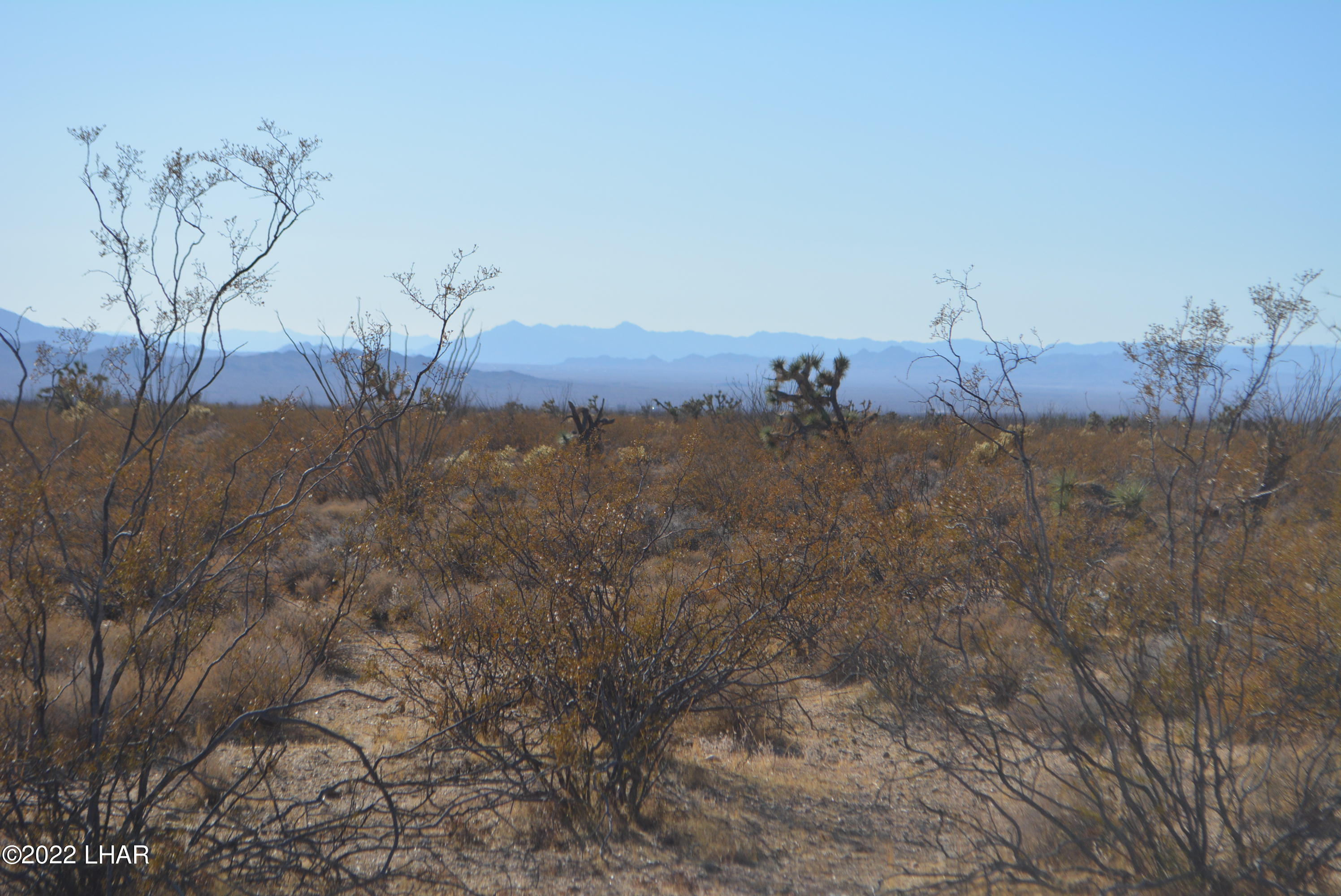 3176 West B W Bronco Road Yucca, AZ 86438 - Photo 13 of 18 DSC_0868