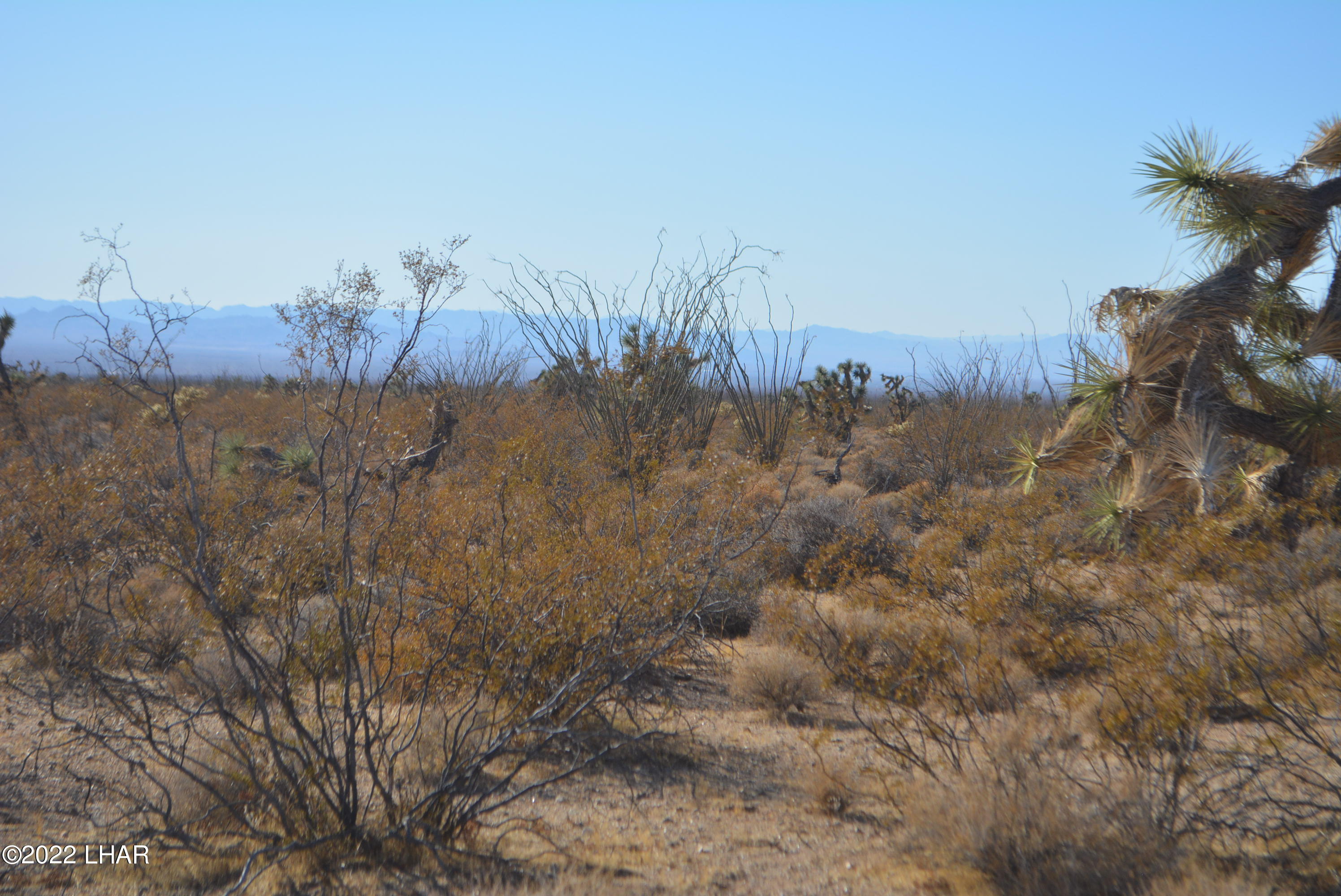 3176 West B W Bronco Road Yucca, AZ 86438 - Photo 14 of 18 DSC_0869