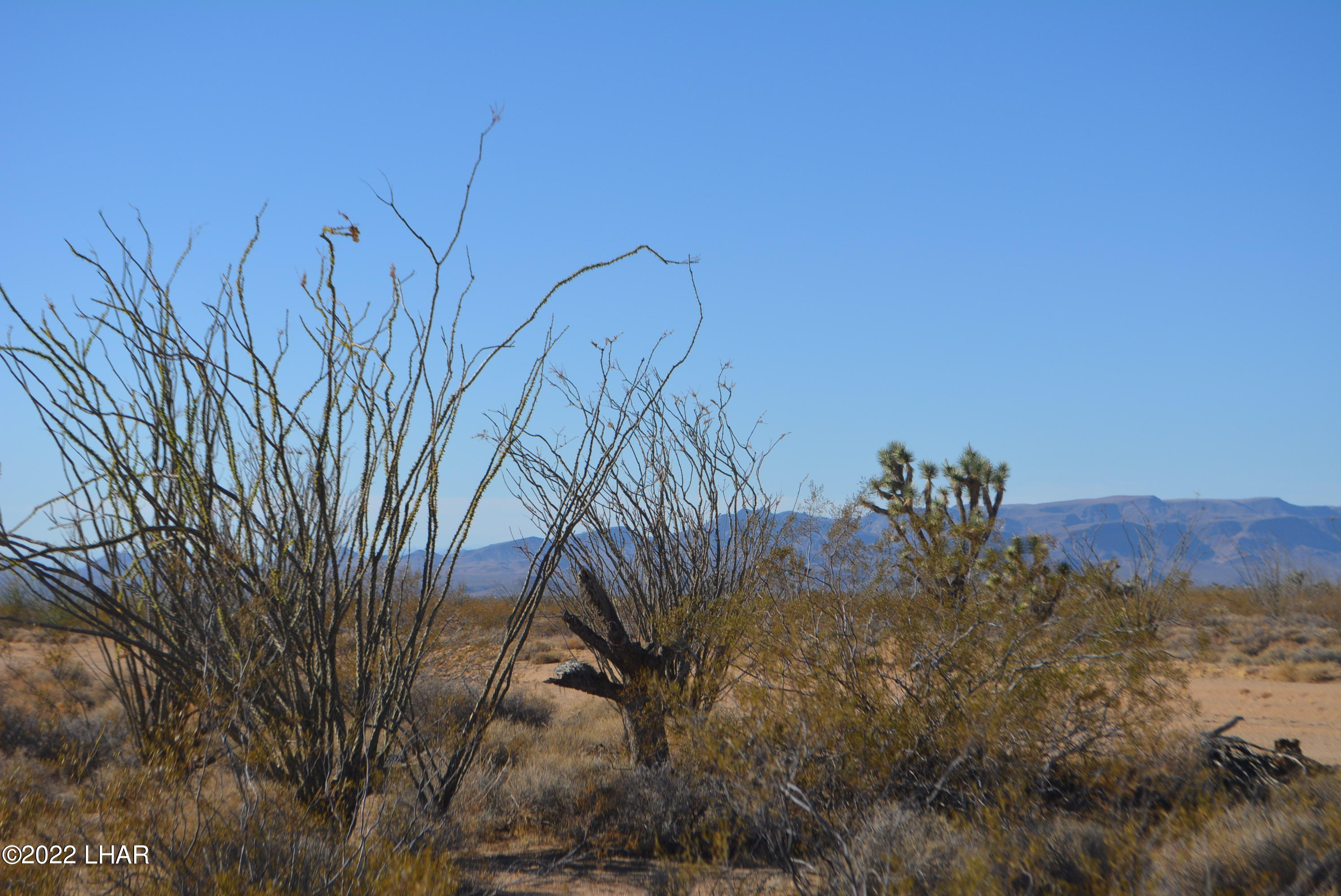3176 West B W Bronco Road Yucca, AZ 86438 - Photo 16 of 18 DSC_0871