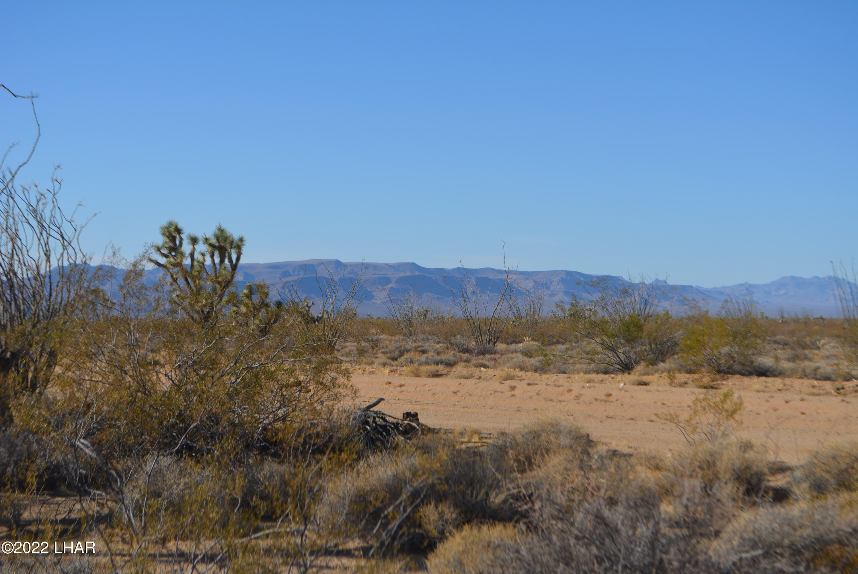 3176 West B W Bronco Road Yucca, AZ 86438 - Photo 17 of 18 DSC_0872