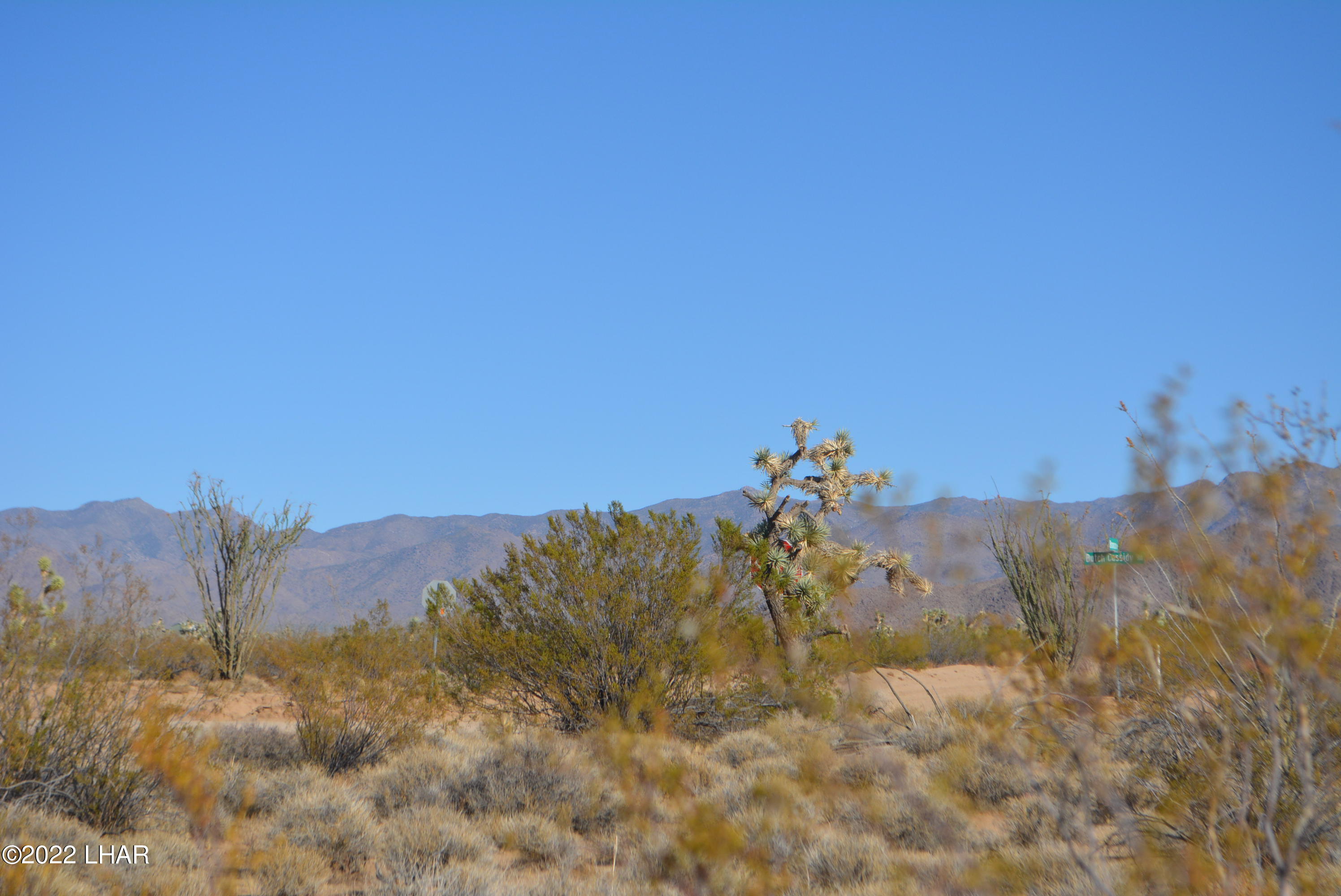 3176 West B W Bronco Road Yucca, AZ 86438 - Photo 3 of 18 DSC_0857