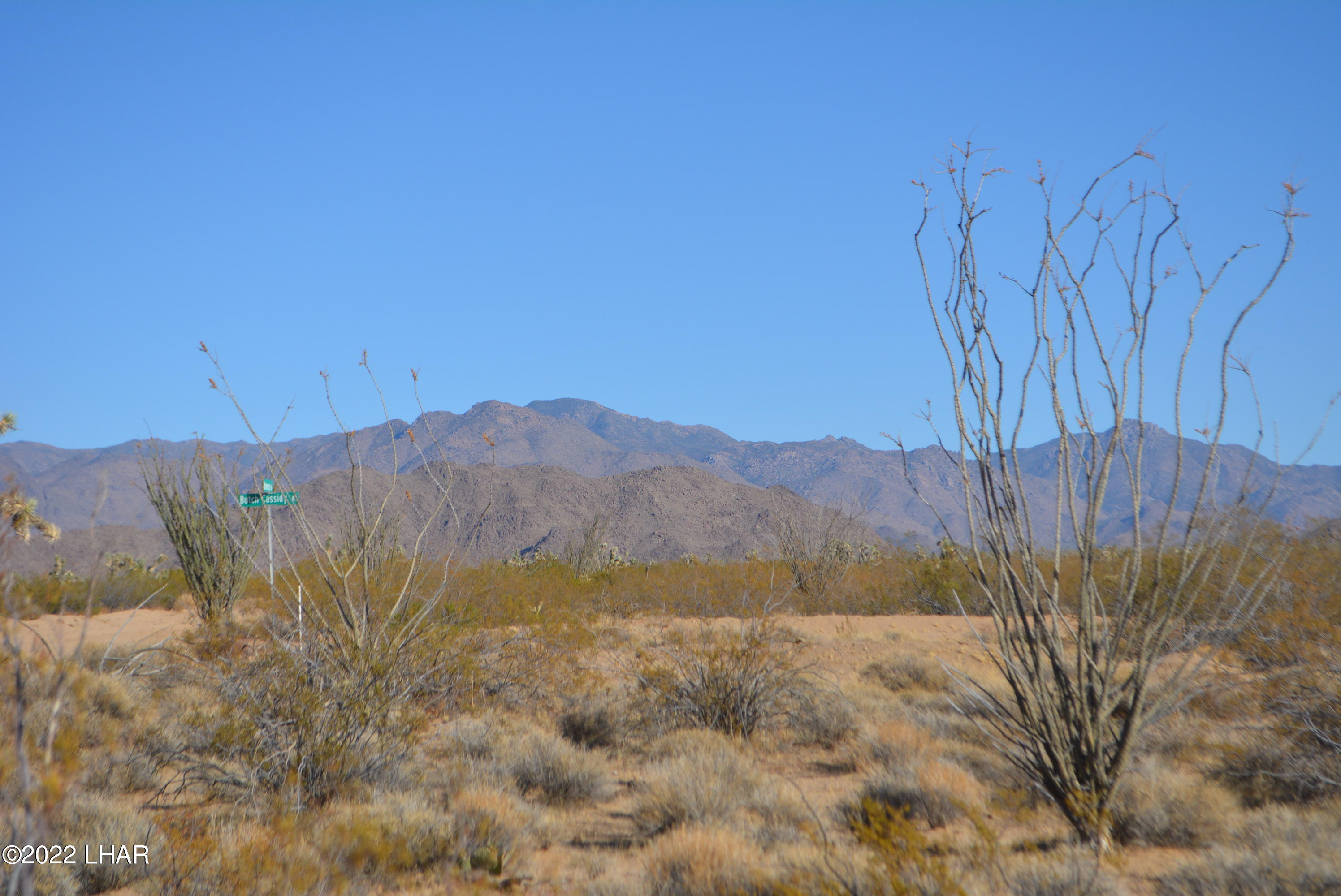 3176 West B W Bronco Road Yucca, AZ 86438 - Photo 4 of 18 DSC_0858