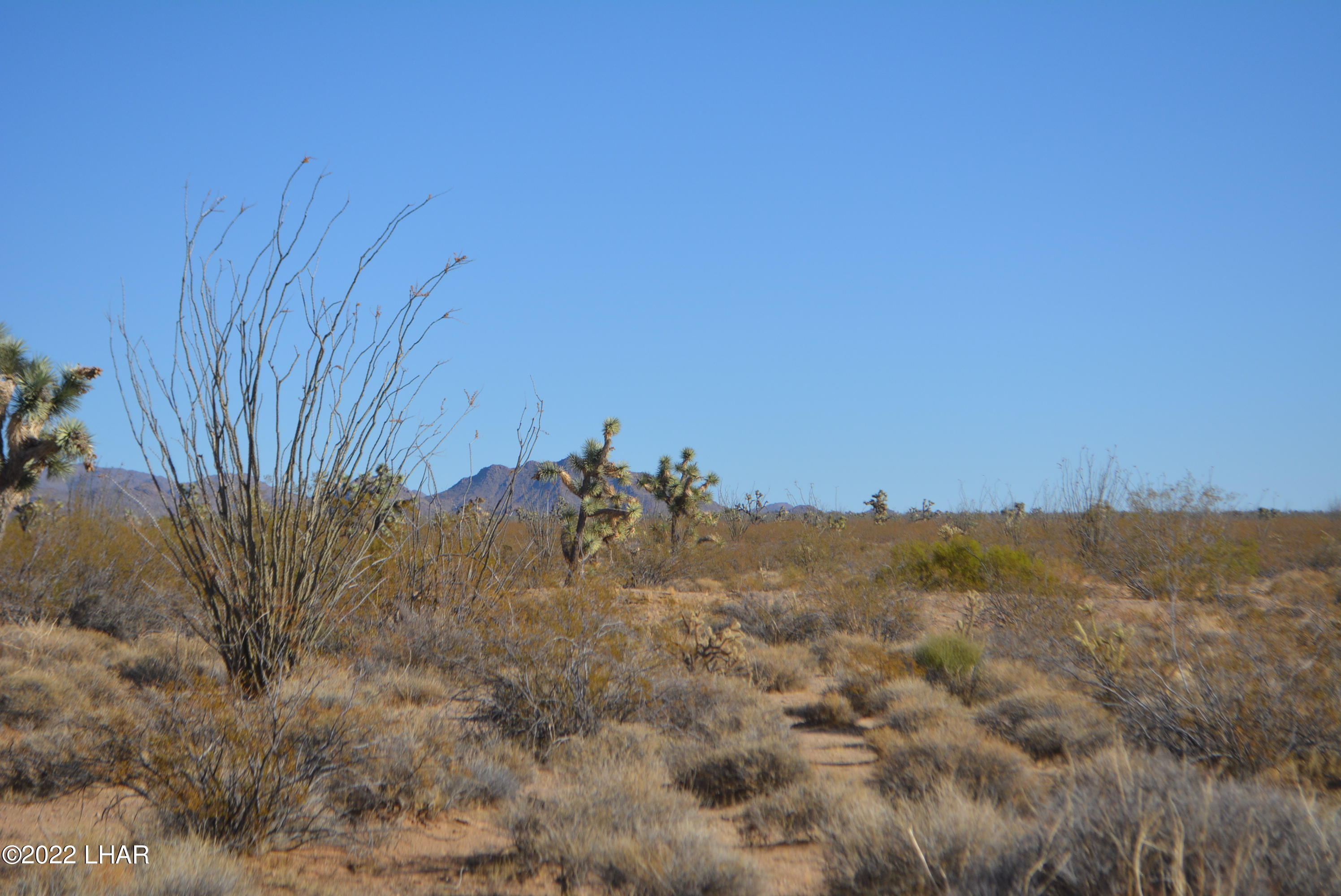 3176 West B W Bronco Road Yucca, AZ 86438 - Photo 5 of 18 DSC_0860