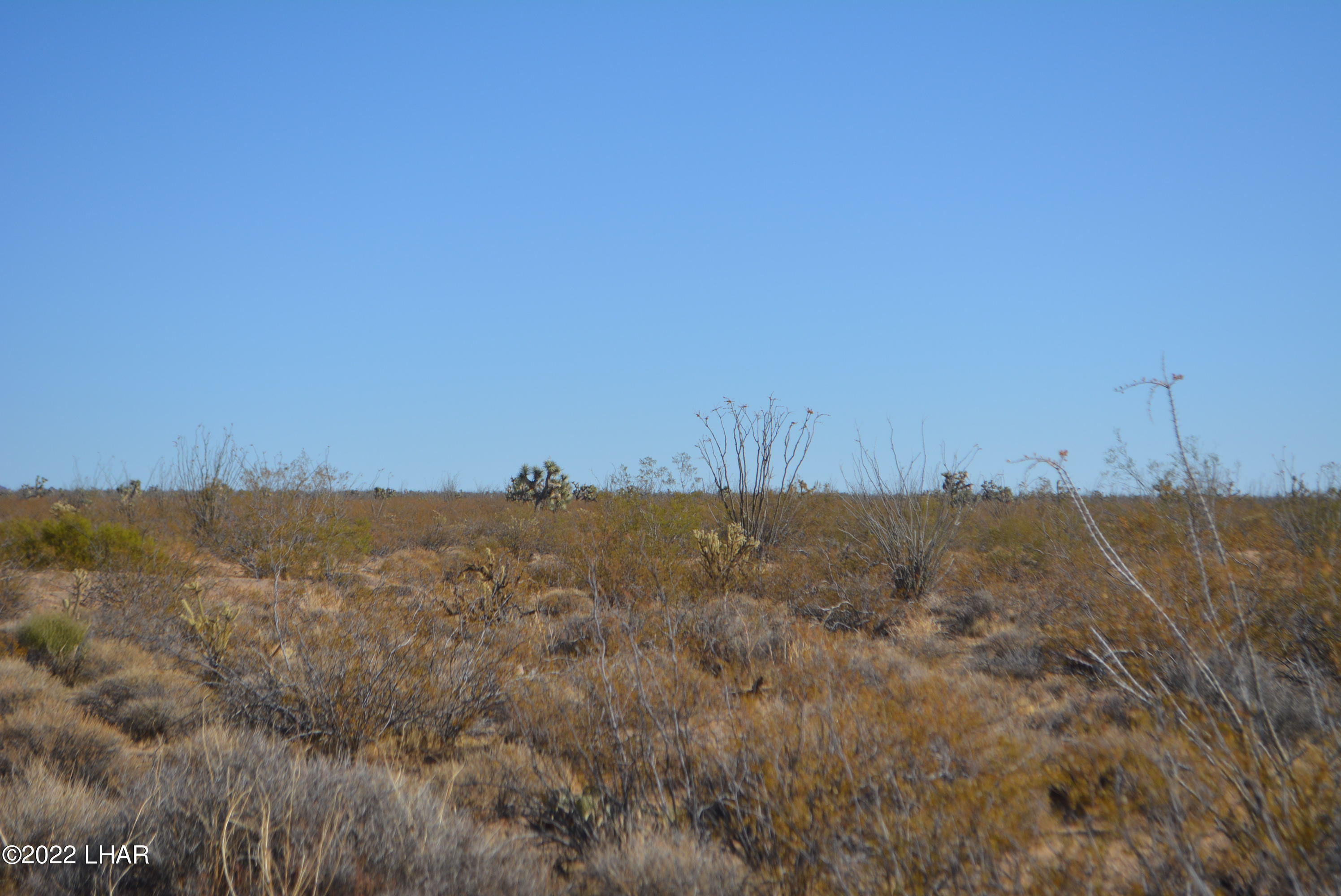 3176 West B W Bronco Road Yucca, AZ 86438 - Photo 6 of 18 DSC_0861