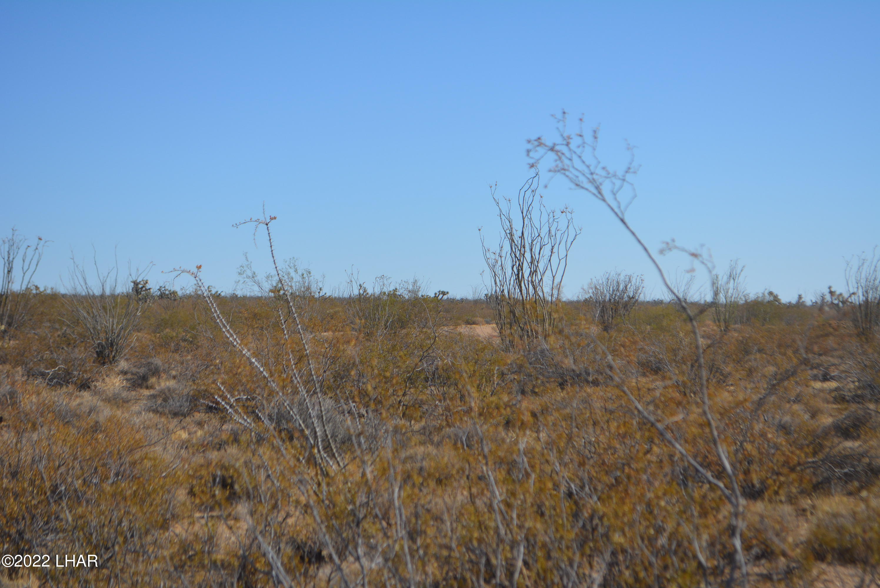 3176 West B W Bronco Road Yucca, AZ 86438 - Photo 7 of 18 DSC_0862