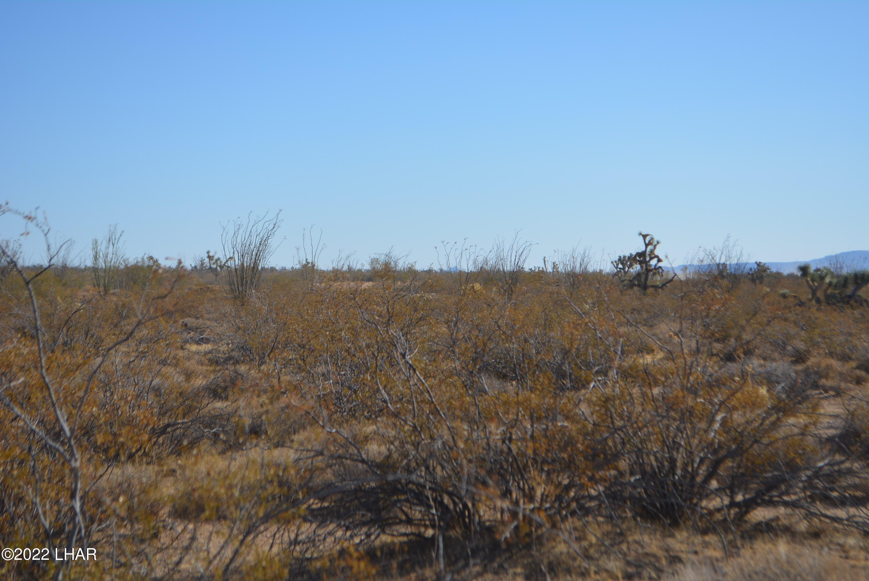 3176 West B W Bronco Road Yucca, AZ 86438 - Photo 8 of 18 DSC_0863