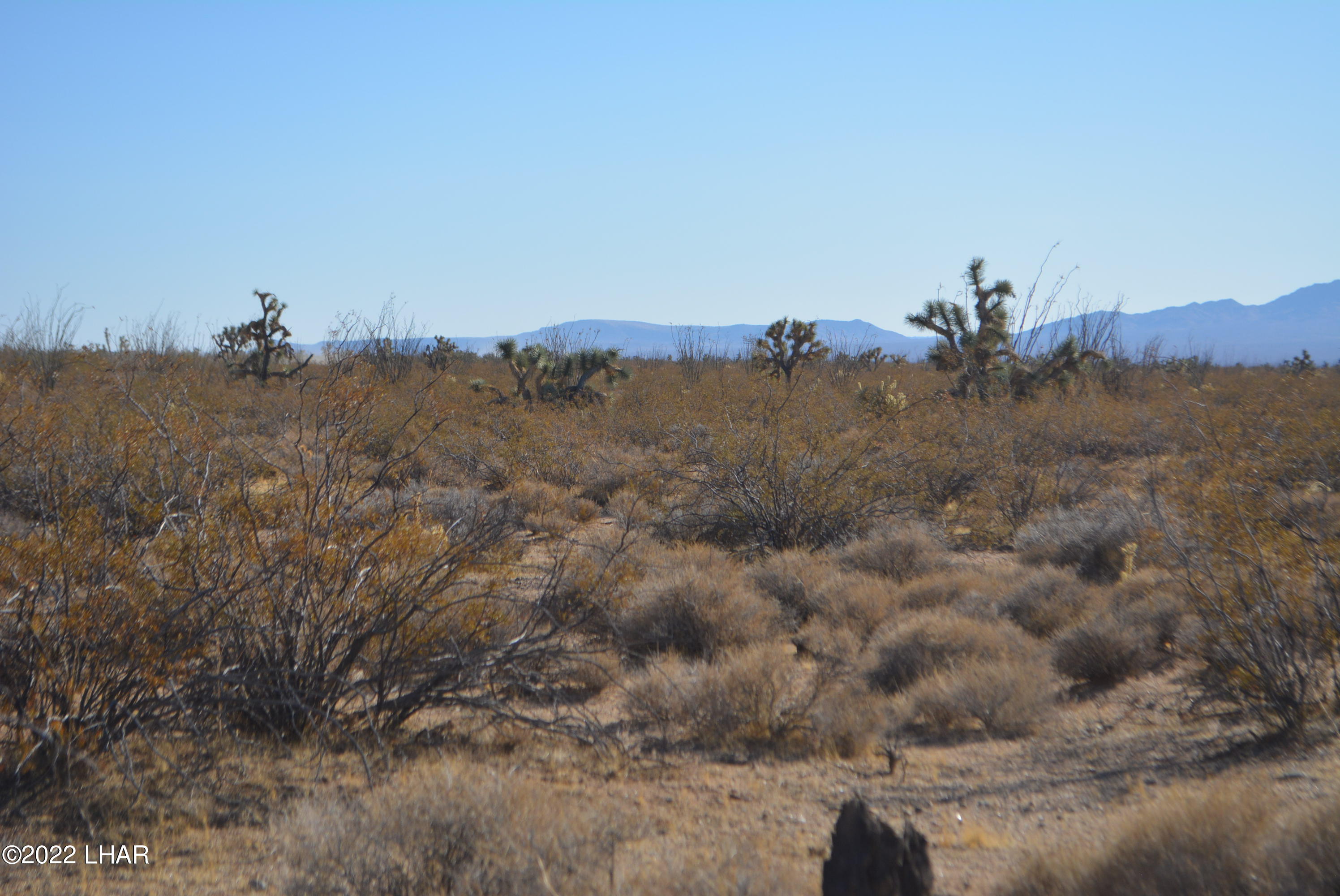 3176 West B W Bronco Road Yucca, AZ 86438 - Photo 9 of 18 DSC_0864