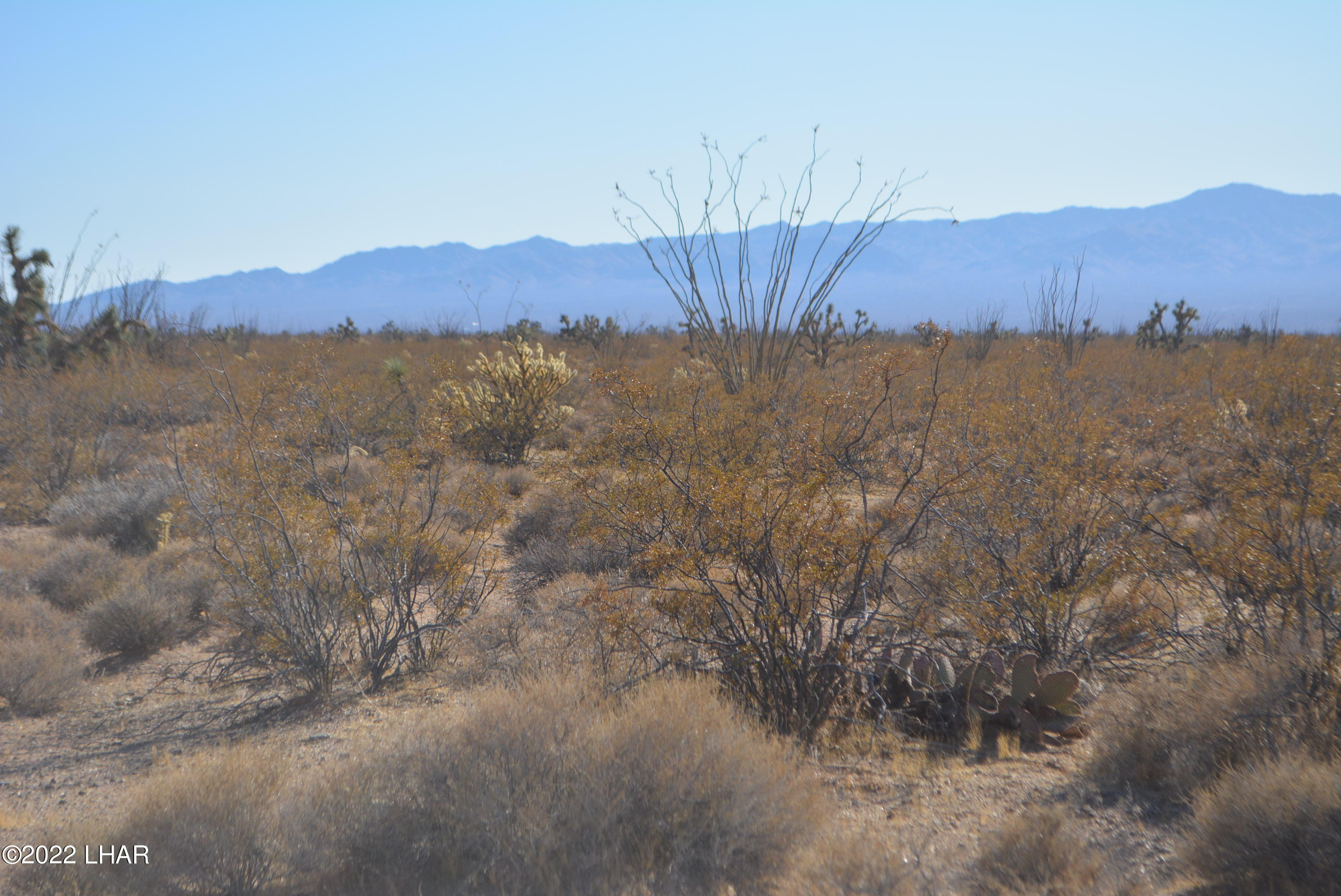 3176 West B W Bronco Road Yucca, AZ 86438 - Photo 10 of 18 DSC_0865