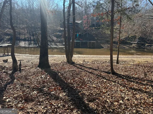 a view of a back yard