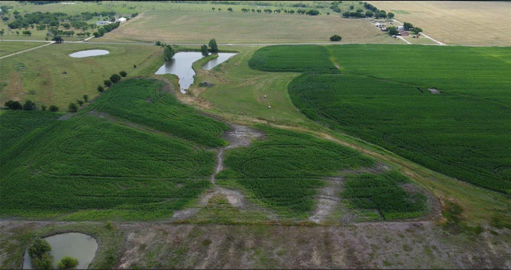a view of a golf ground with huge green field and plants