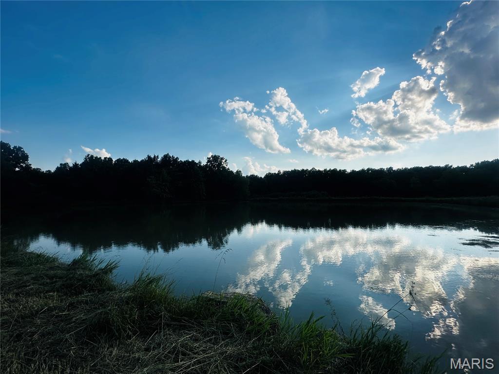 3-935 Audrain Road Mexico, MO 65265 - Photo 4 of 9