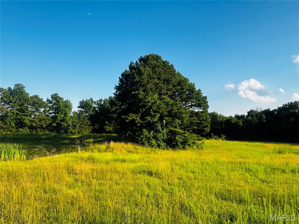 3-935 Audrain Road Mexico, MO 65265 - Photo 7 of 9