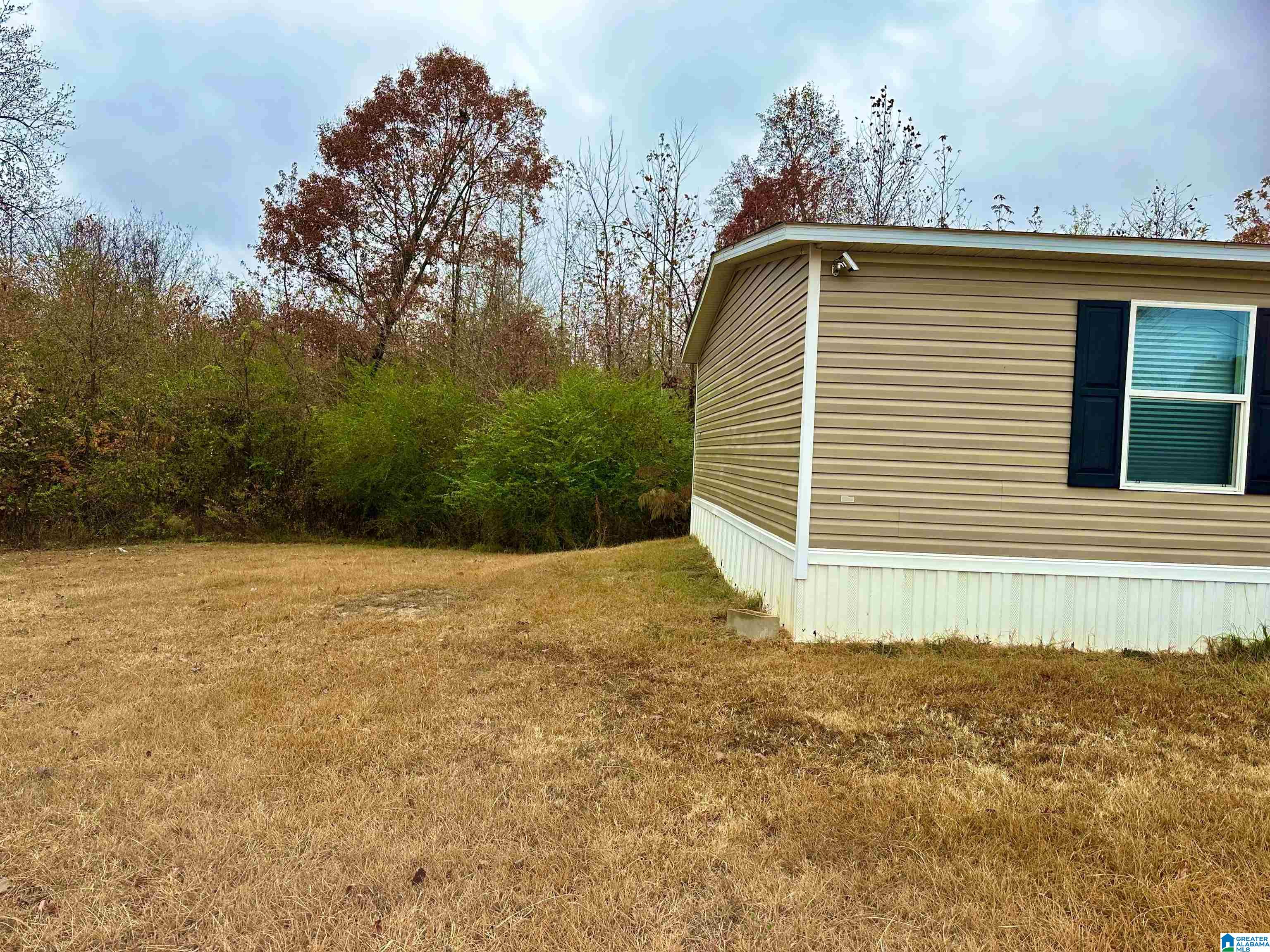 1840 Peeks Hill Road Ohatchee, AL 36271 - Photo 17 of 19