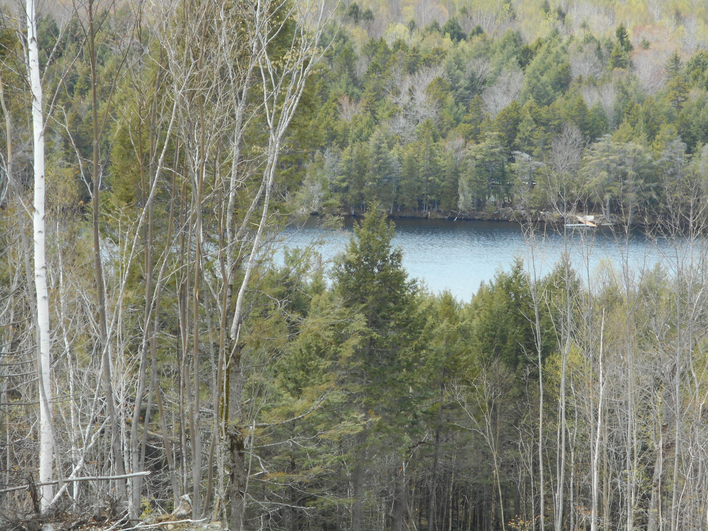33-acres Upper Pug Road Lakeville, ME 04487 - Photo 5 of 13 DSCN2074