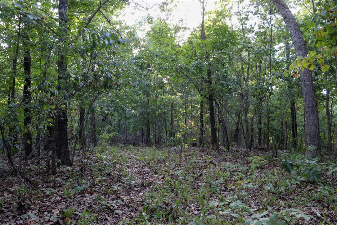 922 Baker Cemetery Road Williford, AR 72482 - Photo 20 of 50 Gallery Image 20
