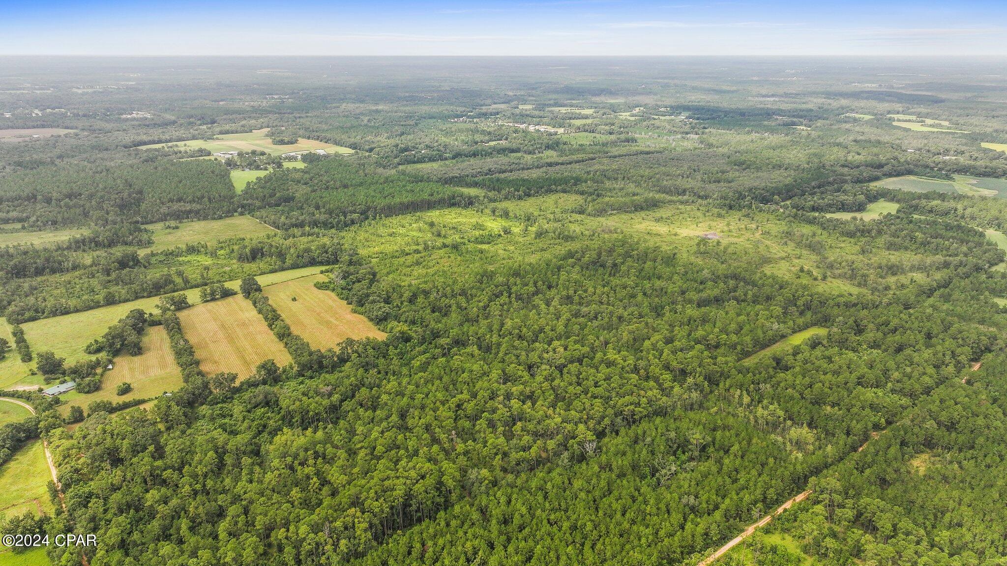 Off Cope Road Chipley, FL 32428 - Photo 5 of 6