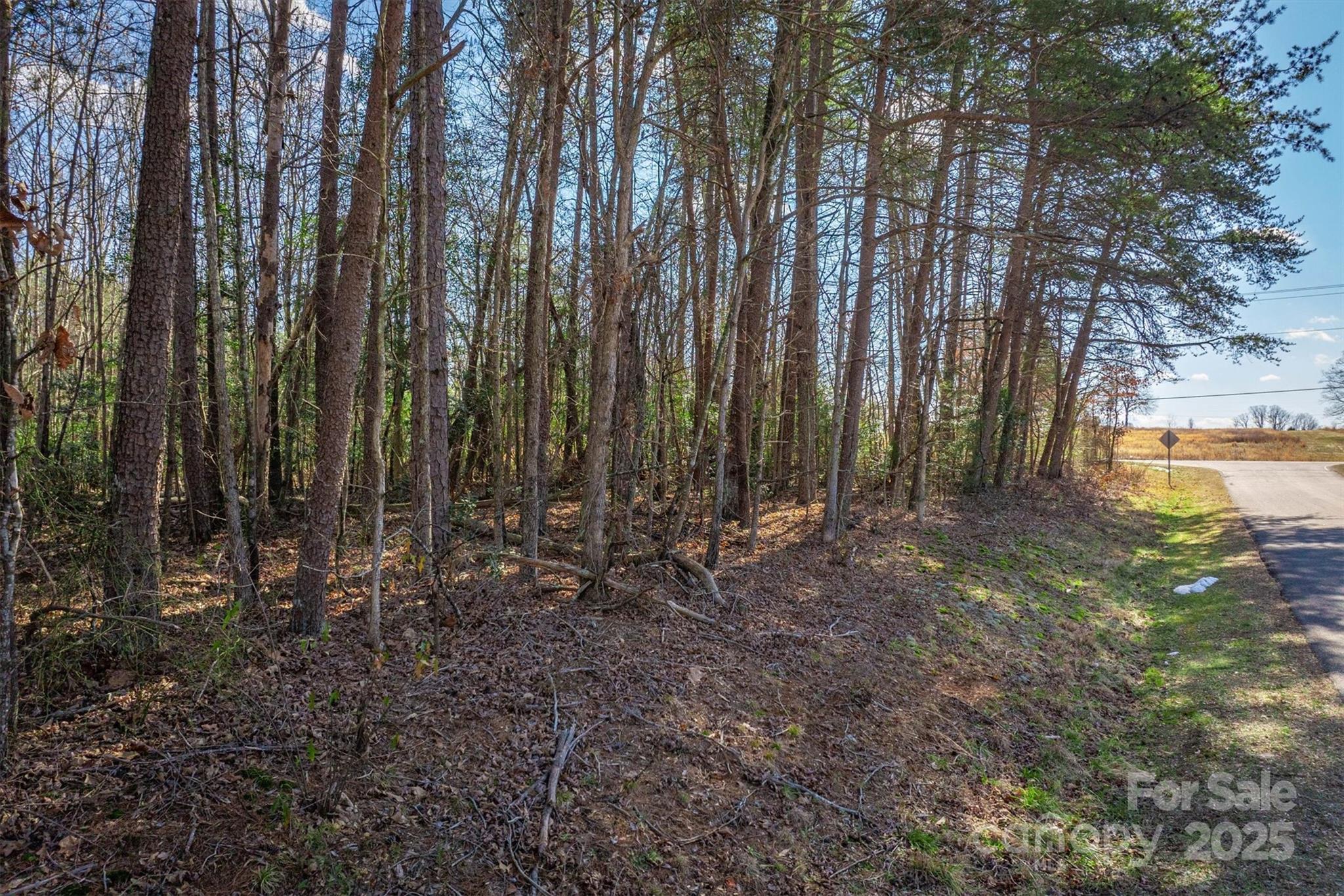 0 Springs Road Hickory, NC 28601 - Photo 4 of 12 Gallery Image 4