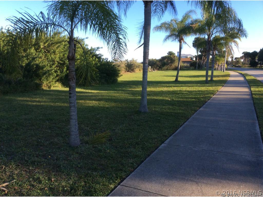 0 South Riverside Drive Edgewater, FL 32132 - Photo 4 of 4 Gallery Image 4