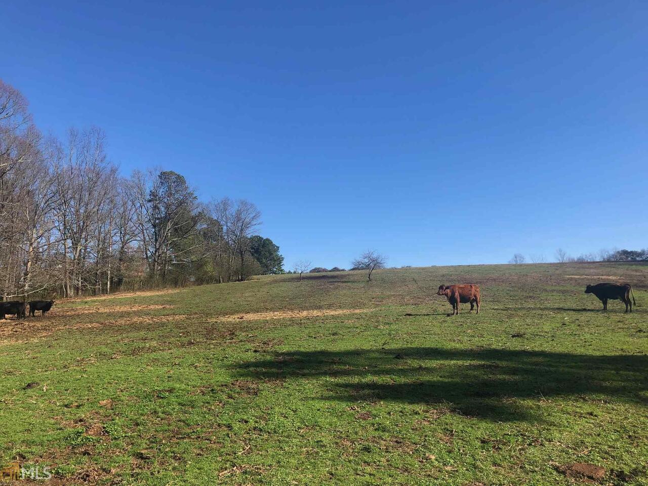 0 Old Buncombe Road Waco, GA 30182 - Photo 1 of 1