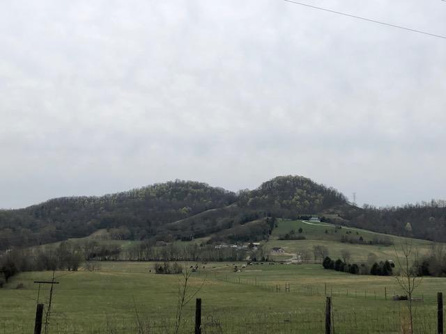 0 Honeysuckle Lane Road Bethpage, TN 37022 - Photo 1 of 14 Gallery Image 1