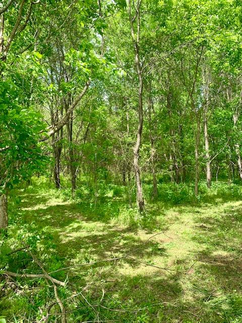 0 Honeysuckle Lane Road Bethpage, TN 37022 - Photo 13 of 14 Gallery Image 13