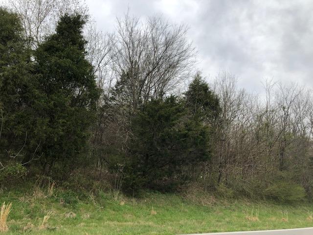 0 Honeysuckle Lane Road Bethpage, TN 37022 - Photo 3 of 14 Gallery Image 3
