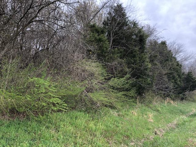 0 Honeysuckle Lane Road Bethpage, TN 37022 - Photo 5 of 14 Subject property