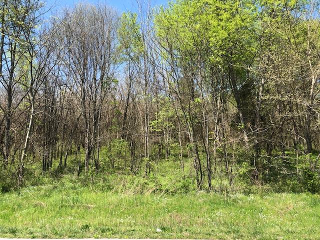 0 Honeysuckle Lane Road Bethpage, TN 37022 - Photo 10 of 14 Gallery Image 10