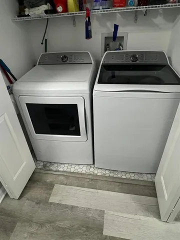 a view of a yard with plants and large trees