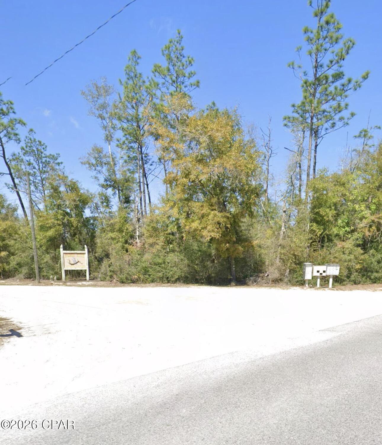 Tbd Blue Springs Road Youngstown, FL 32466 - Photo 2 of 26