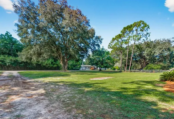 a view of a big yard with a large trees