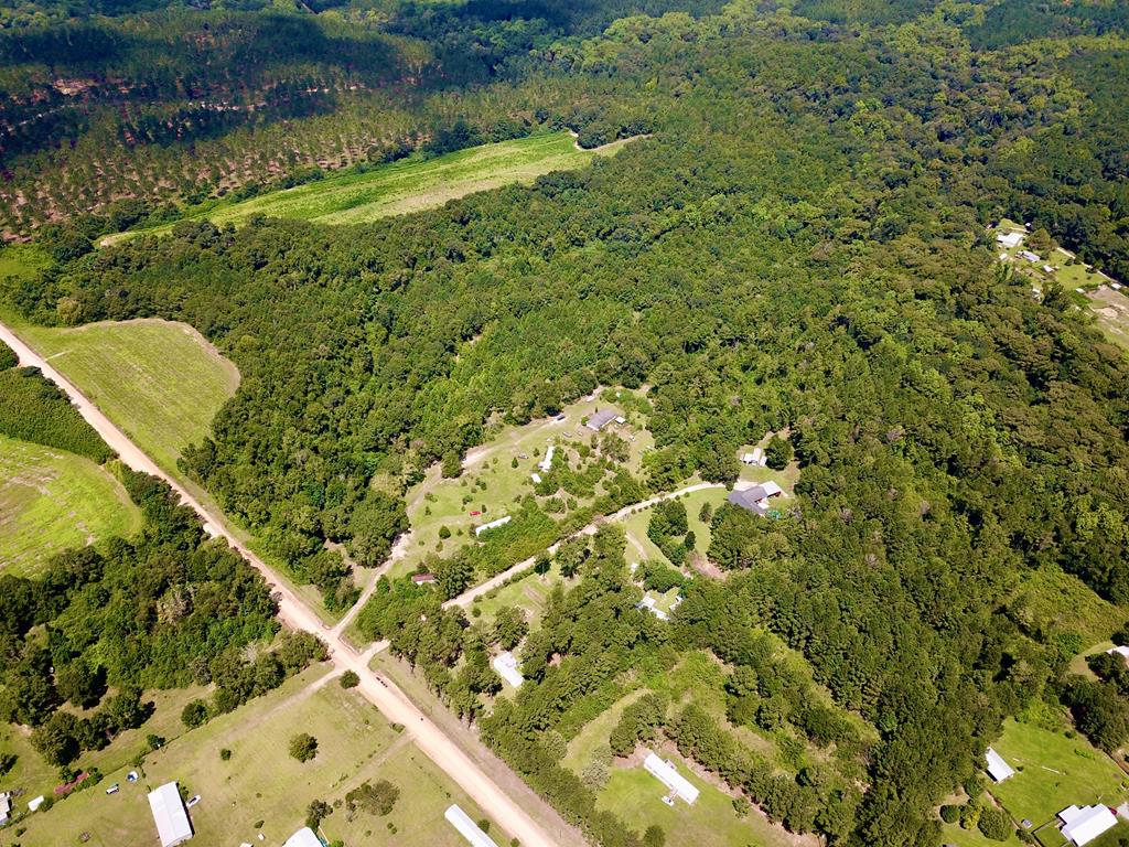 4739 Wallace Buie Road Columbia, AL 36319 - Photo 16 of 54