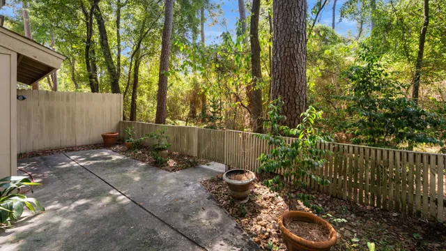 a view of a backyard with plants and swing
