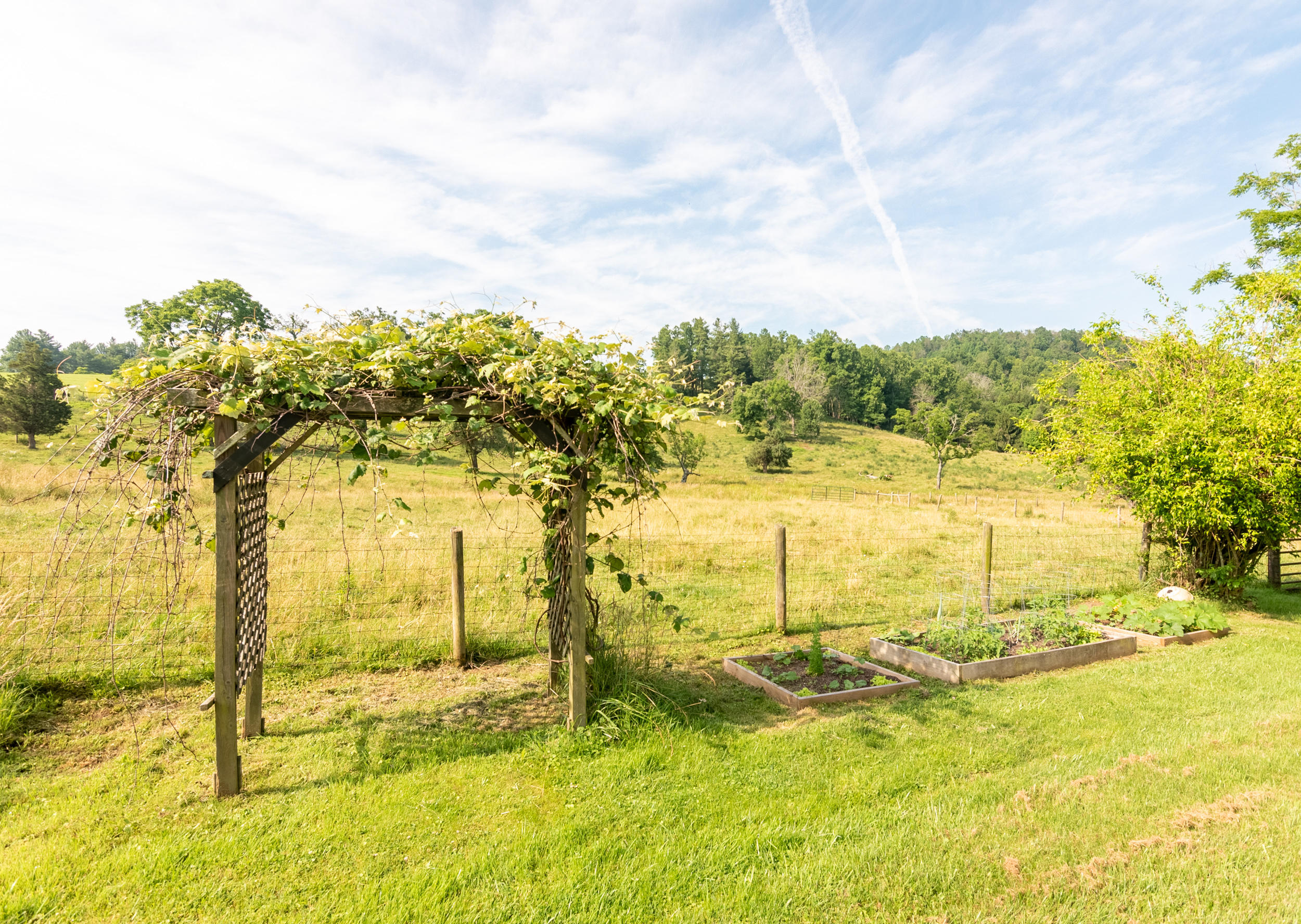 856 Conner Grove Road Southwest Willis, VA 24380 - Photo 56 of 63 DSC_8918-HDR