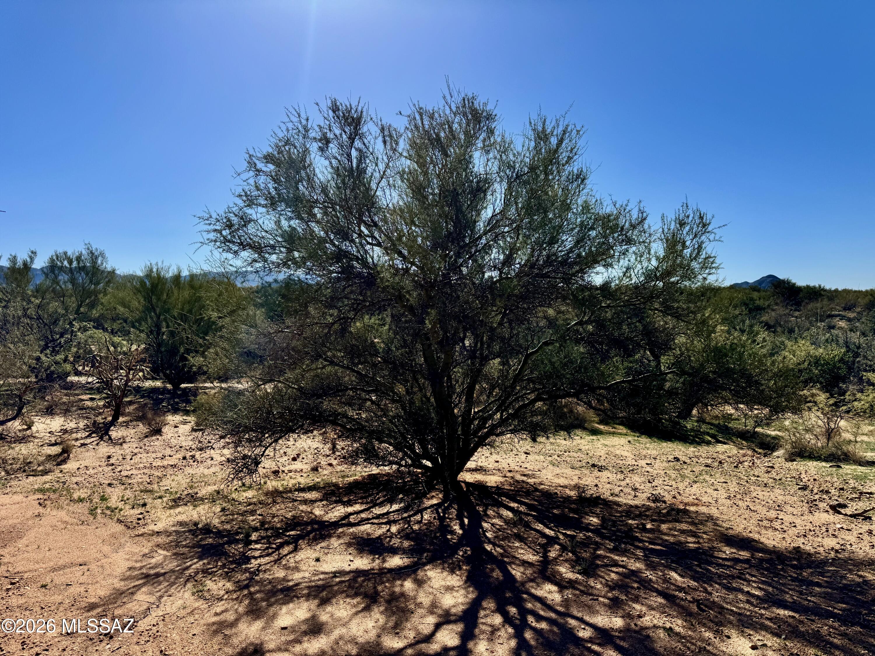 15783 West Phillips Road, Unit 151 Tucson, AZ 85736 - Photo 22 of 35