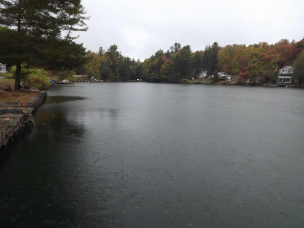 7481 Laurel Lake Road Brackney, PA 18812 - Photo 13 of 24 Gallery Image 13