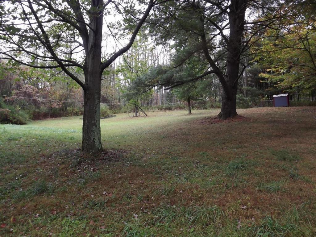 7481 Laurel Lake Road Brackney, PA 18812 - Photo 18 of 24 Gallery Image 18