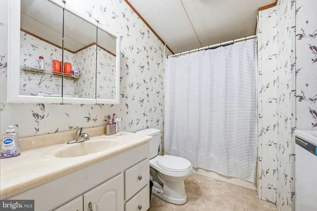 a bathroom with a sink a toilet and shower curtain