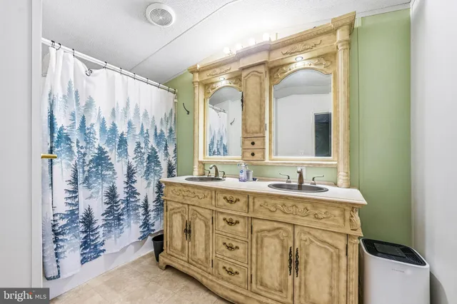 a bathroom with a double vanity sink mirror and shower
