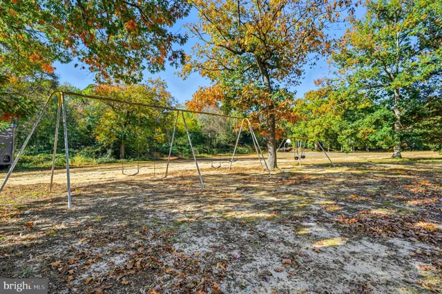 a view of a park with large trees