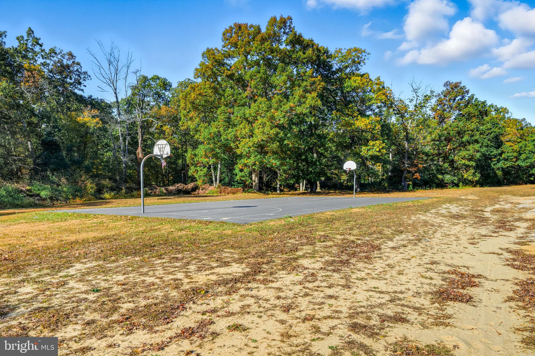 119 Middle Drive, Unit 23 Pittsgrove, NJ 08318 - Photo 30 of 30