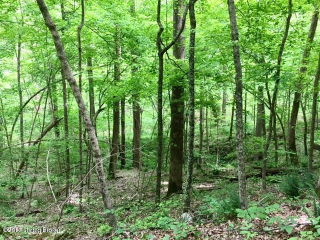 0 Mark Ridge Road Garfield, KY 40140 - Photo 35 of 43 37