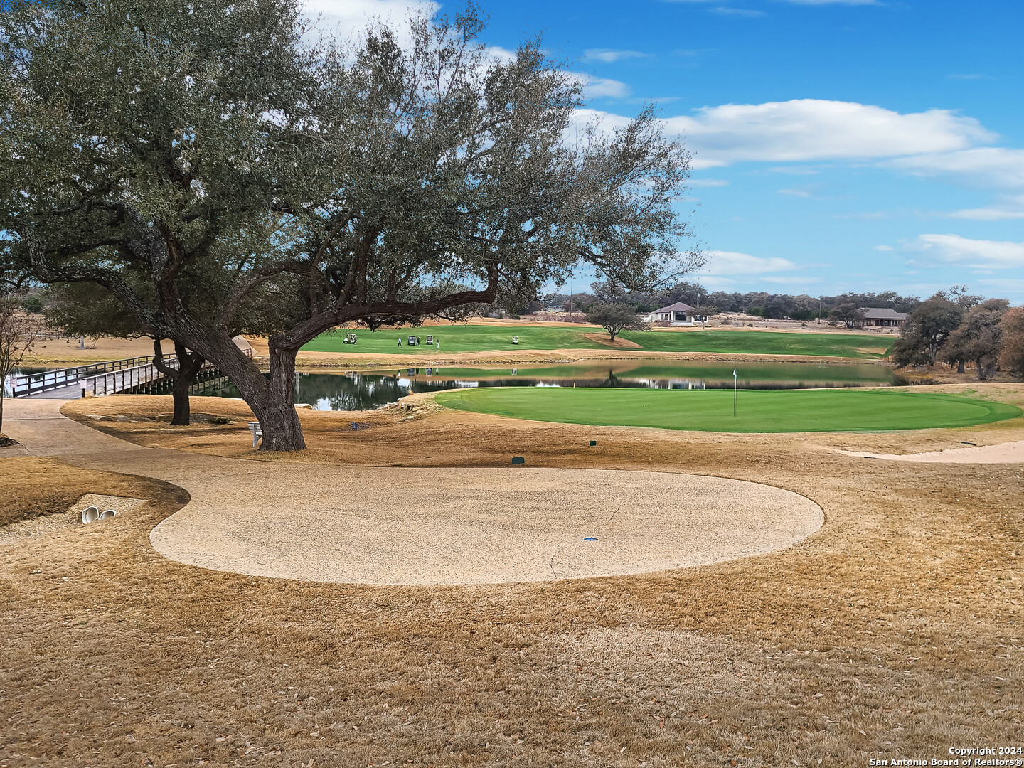 117 Lewis Todd Blanco, TX 78606 - Photo 12 of 15 a view of outdoor space with green space