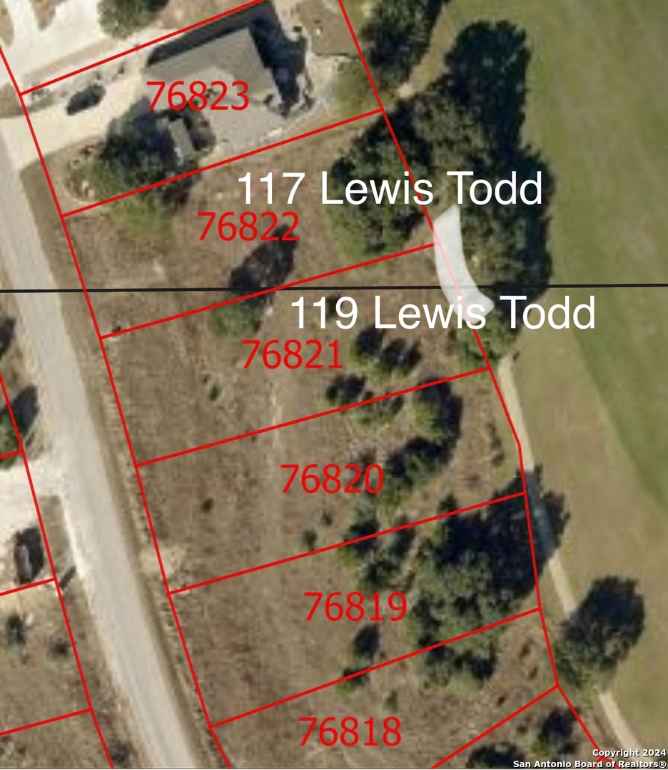 117 Lewis Todd Blanco, TX 78606 - Photo 4 of 15