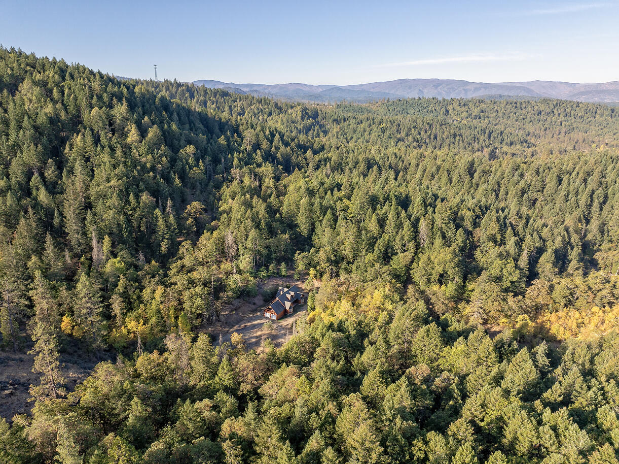1193 Greenview Road Cave Junction, OR 97523 - Photo 3 of 37 DJI_20241004093547_0072_D copy