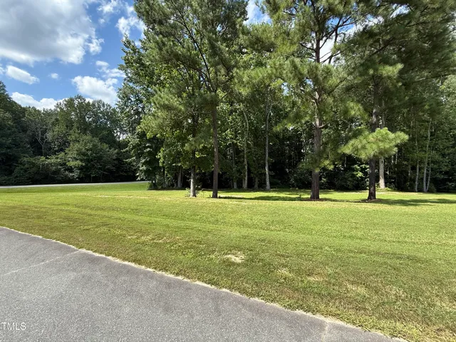 a view of a park with large trees