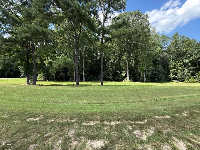 a view of a tree in a park